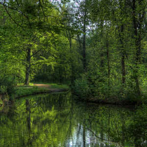 Tiergarten in Spring